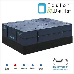 Taylor & Wells® Summit Firm