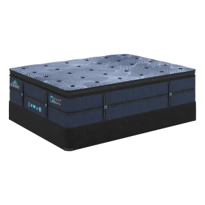 Taylor & Wells® Summit Pillow Top